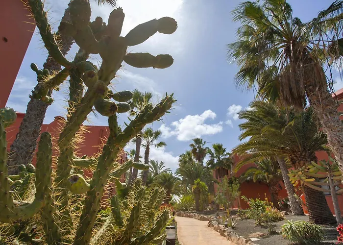 Away From * Corralejo